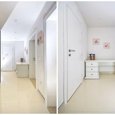 Vekic * マカルスカ